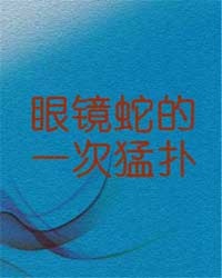 红楼之逆袭攻略国公爷牌贾赦